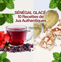 Sénégal Glacé : 10 Recettes de Jus Authentiques (E-book PDF)