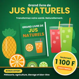 🍊 Le Grand Livre des Jus Naturels & Bonus