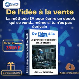 De l'Idée à la Vente : Comment Créer un Ebook Professionnel avec l'IA en Moins de 2 Jours (copy)
