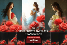 10 superpositions de fleurs de rose