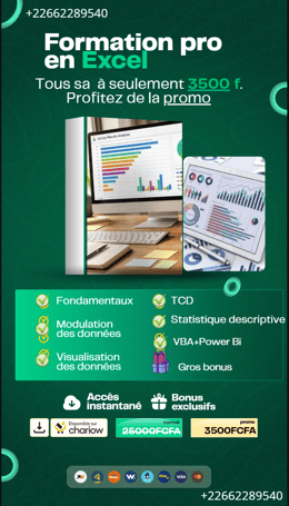 formation Excel, Analyse de données , TCD, et Automatisation de cellules