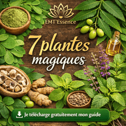 7 plantes médicinales africaines avec des vertus magiques à absolument connaître
