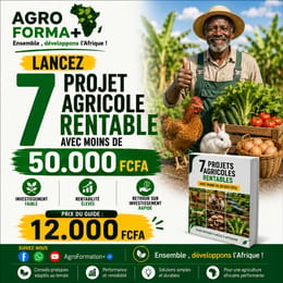 🍅🐓 𝗗𝗘𝗠𝗔𝗥𝗥𝗘𝗭 7 𝗣𝗥𝗢𝗝𝗘𝗧S 𝗔𝗚𝗥𝗜𝗖𝗢𝗟𝗘 𝗔𝗩𝗘𝗖 𝗠𝗢𝗜𝗡𝗦 𝗗𝗘 𝟱𝟬.𝟬𝟬𝟬 𝗙𝗖𝗙𝗔 !