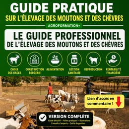 GUIDE PROFESSIONNEL DE L’ÉLEVAGE DES MOUTONS ET DES CHÈVRES