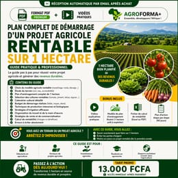 🥑🍅🔥  LE PLAN ESSENTIEL POUR 1 HECTARE RENTABLE