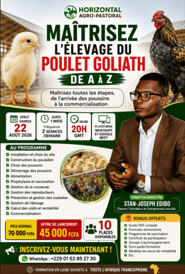 1 mois de formation Plus 6 mois d'accompagnement