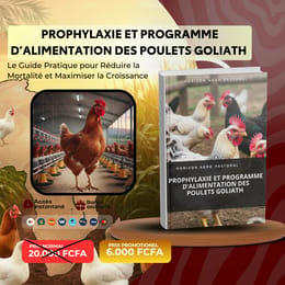 Le Guide Pratique pour Réduire la Mortalité et Maximiser la Croissance