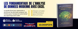 Les fondamentaux de l'analyse de données Moderne avec Excel (Formation vidéo)