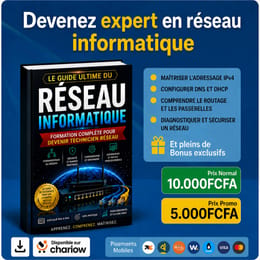 Devenir Expert en Réseau informatique