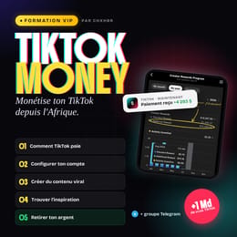TikTok Money VIP : de 0 au premier retrait