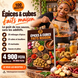 Épices & cubes faits maison : 100 recettes naturelles (mélanges, bouillons, marinades)