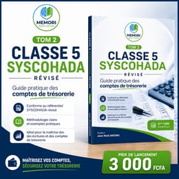 Classe 5 SYSCOHADA révisé : les comptes de trésorerie