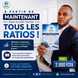 Guide Complet des Ratios Financiers et Comptables