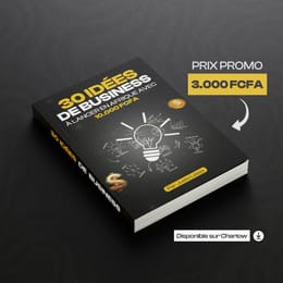 30 idées de business à lancer en Afrique avec 10 000 Fcfa