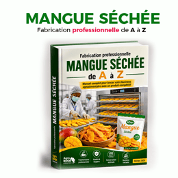 Mangue séchée , fabrication professionnelle  – De A à Z