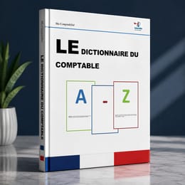 LE DICTIONNAIRE DU COMPTABLE