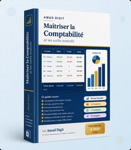 MAÎTRISER LA COMTABILITE ET LES OUTILS AVANCES D'EXCEL ET GOOGLE SHEETS
