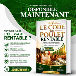 Le code du poulet rentable 🐔 🥚