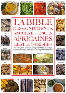 La bible des condiments sauces et épices africaines les plus prisées