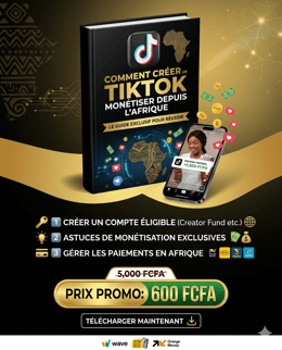 Gagner de l'argent avec l'internet depuis l'Afrique