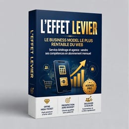 L'EFFET LEVIER Créer son agence de services digitaux et vivre de revenus récurrents