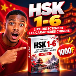 APPRENDRE LES CARACTÈRES CHINOIS HSK1 à HSK6