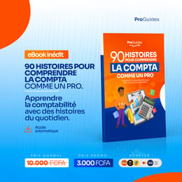 90 histoires pour comprendre la compta comme un pro