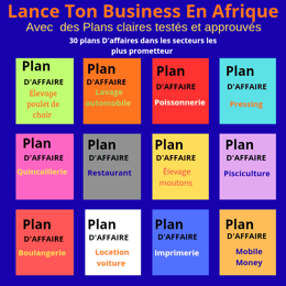 Lance Ton Business En Afrique,Avec des Plans d'affaires claires, testés et approuvés