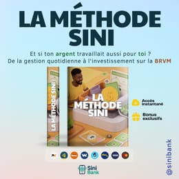 La Méthode SINI - Et si ton argent travaillait aussi pour toi ?