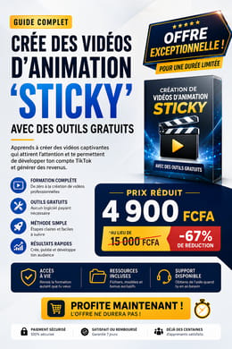 «Tes premiers revenus avec la création des vidéos d'animation "Sticky" avec des outils gratuit.»