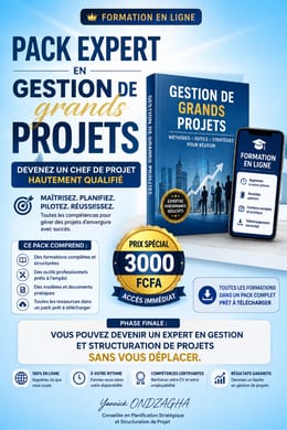 Kit Expert en Gestion de grands projets