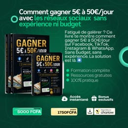 Pas de budget? Générez 5€-50€/jour sur les réseaux sociaux sans expérience