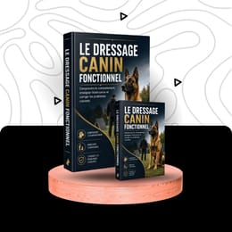 Dressage canin fonctionnel