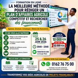 MEILLEUR MÉTHODE POUR RÉUSSIR UN PLAN D'AFFAIRES AGRICOLE COMPÉTITIF