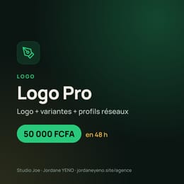 Logo Pro : logo + déclinaisons en 48 h