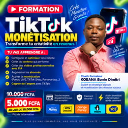 FORMATION TIKTOK MONETISE