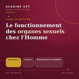FONCTINNEMENT DES ORGANES SEXUELLES