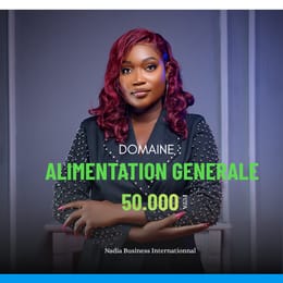 Import Nigeria Domaine d'Alimentation Générale