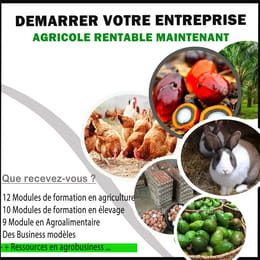 PACK de formation Complète en Agriculture, Elevage & en Transformation Agroalimentaire