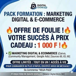 MARKETING DIGITAL ET ECOMMERCE