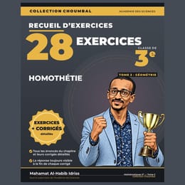 28 EXERCICES + CORRIGÉS — Homothétie (3e Tome 2, 27 pages)