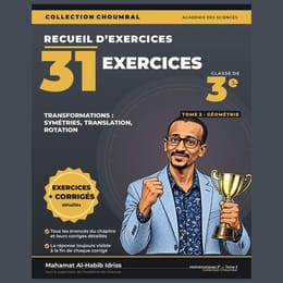 31 EXERCICES + CORRIGÉS — Transformations : symétries, translation, rotation (3e Tome 2, 27 pages)
