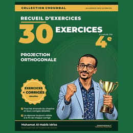 30 EXERCICES + CORRIGÉS — Projection orthogonale (4e, 30 pages)