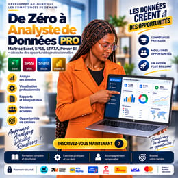 De Zéro à Analyste de Données PRO : Formation complète + logiciels – 100% pratique