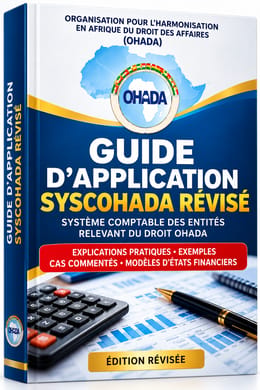 GUIDE D'APPLICATION SYSCOHADA Révisé