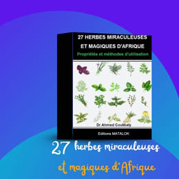 27 HERBES MIRACULEUSES  ET MAGIQUES D’AFRIQUE  Propriétés et méthodes d'utilisation