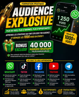 AUDIENCE EXPLOSION 360