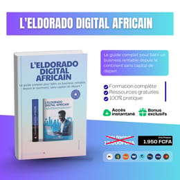 Le guide complet pour bâtir un business rentable depuis le continent sans capital de départ.