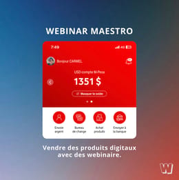 Webinar Maestro