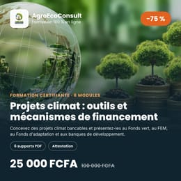 Élaboration de projets intégrant les changements climatiques : outils et mécanismes de financement